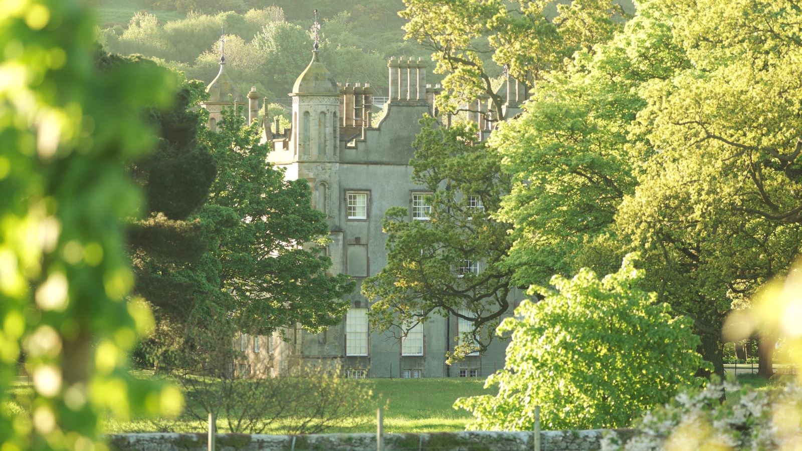 Glenarm Castle in the background surrounded by trees